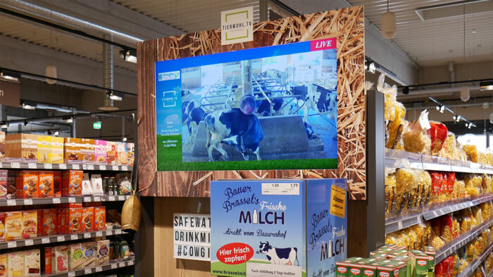 „Tierwohl TV“: Livestream vom Bauernhof