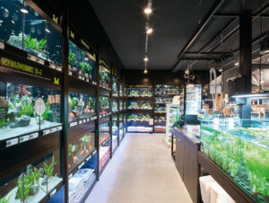 Die Aquaristik lädt zur Entdeckungsreise ein
