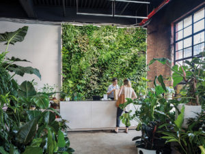 Thema Natur: Der Store Greenery Unlimited in New YorkThe Audo in Kopenhagen: ganzheitliches Ensemble aus Retail Space, Office, Verkaufsfläche, Gastronomie und Luxus-Unterkunft