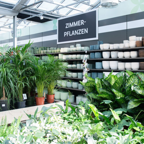 Bellaflora ist ein alteingesessenes österreichisches Unternehmen für naturnahes Gärtnern und
Dekorieren
