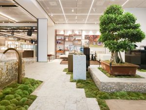 Das Landschaftsarchitekturunternehmen Enea will die Farb- und Formensprache der Natur in Wohn- und Geschäftsräume hineintragen.