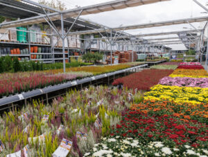 Neben Pflanzen führt das Gartencenter u. a. Gartenmöbel und Grills