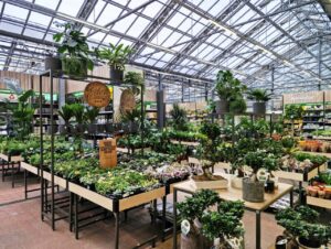 Pflanzen stehen nach dem Arenaprinzip im Zentrum und werden in thematisch gebündelten Clustern präsentiert.