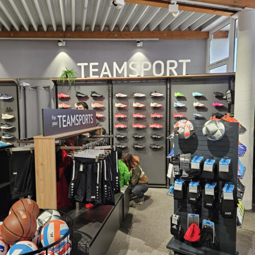 Im Teamsportbereich finden sich Produkte rund um Ballsportarten