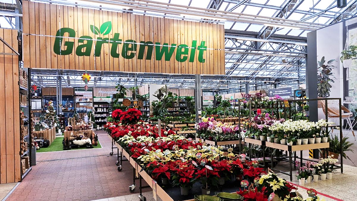 saatgut schafweide Schaf und Ziegenweide  LaCaTho GmbH