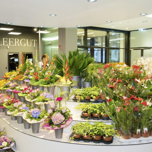 Blumenabteilung des Marktes