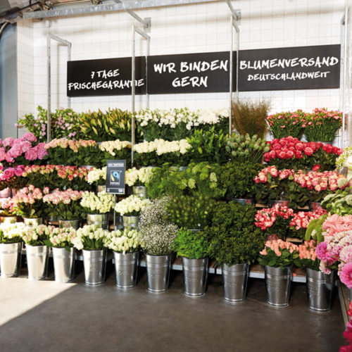 Zinkvasen, Tontöpfe und Holzkisten präsentieren Blumen und Pflanzen. Das Blumensortiment umfasst Schnittblumen, Sträuße, Zimmer­, Garten­ und Balkonpflanzen. Ein professioneller Bindeservice rundet das neue Konzept ab. Zusätzlich finden Kunden in den Filialen jetzt auch Dünger, Schaufeln und anderes Zubehör zum Gärtnern und Dekorieren. (Foto: Blume 2000)