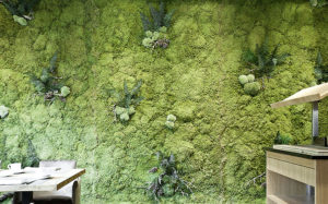 Vertikale Indoor-Begrünung sieht schön aus und sorgt für ein gutes Raumklima. (Foto: Freund)