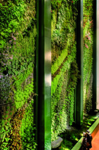 Kulturkaufhaus Dustmann in Berlin: 270 qm große Wand mit tropischen Pflanzen
