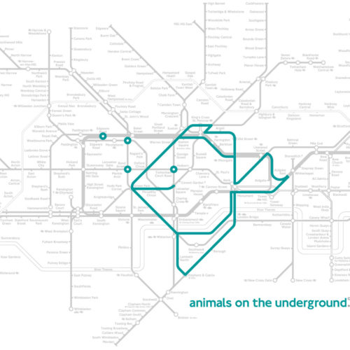 Animals on the Underground