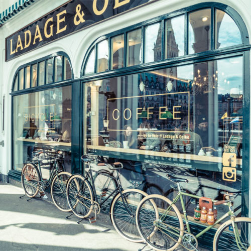 Einige Exemplare stehen nun bei Ladage & Oelke aufmerksamkeitsstark im Schaufenster oder draußen unter den Alsterarkaden. (Foto: Martin Smolka)