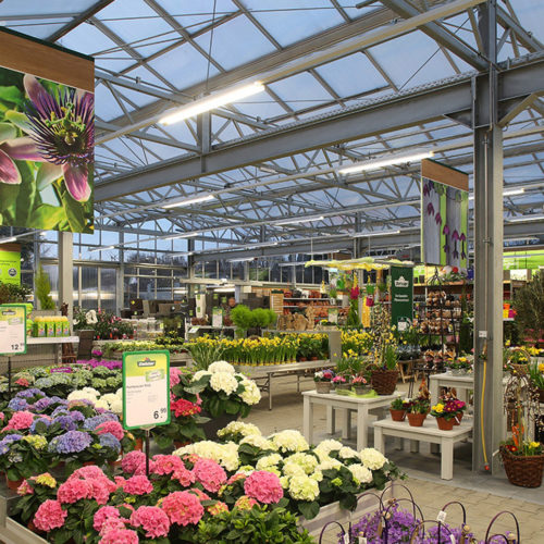Auf der Verkaufsfläche in Frankfurt werden Grün-, Blüh- und Gemüse-Pflanzen  angeboten. (Foto: Dehner)